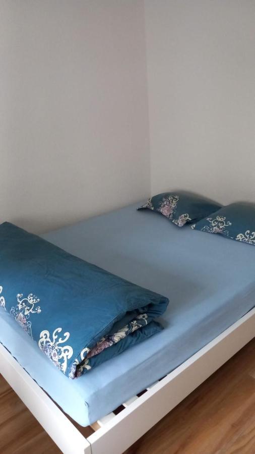 City Home Zurich Appartamento *